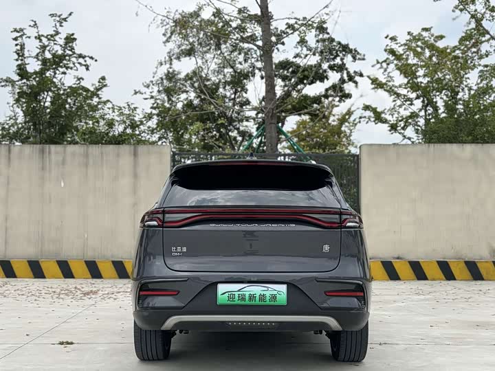 BYD Tang Hybrid/EV, 2022 — фото 9 из 9