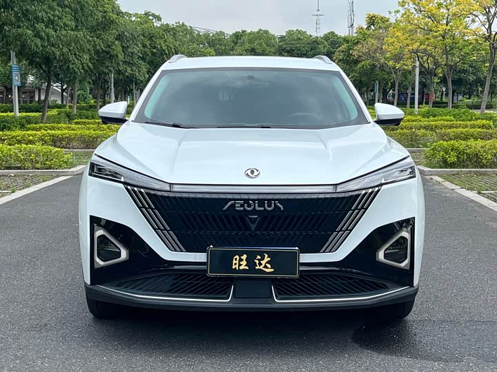 Dongfeng Aeolus Mage, 2024 — фото 2 из 9