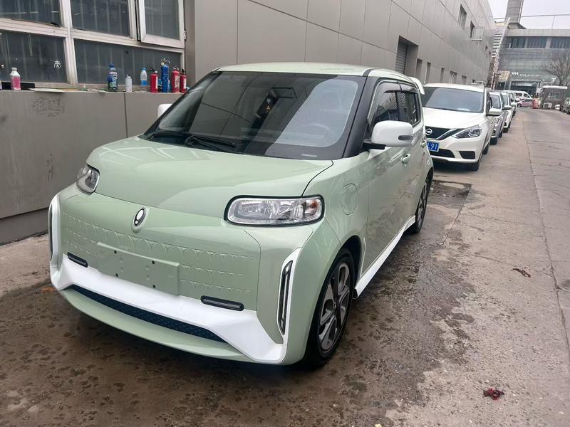 Ora White Cat, 2022 — купить в Перми под ключ