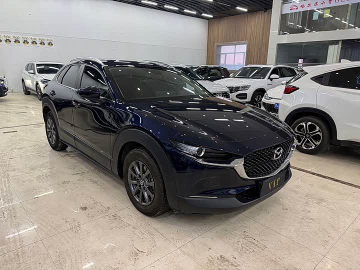 Mazda CX-30, 2021 — фото 7 из 9