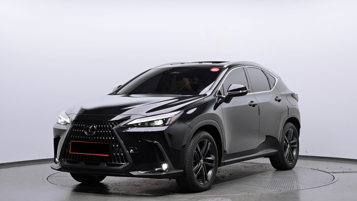 Lexus NX, 2023 — купить в Санкт-Петербурге под ключ