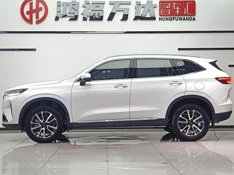 Haval H6, 2021 — фото 4 из 12