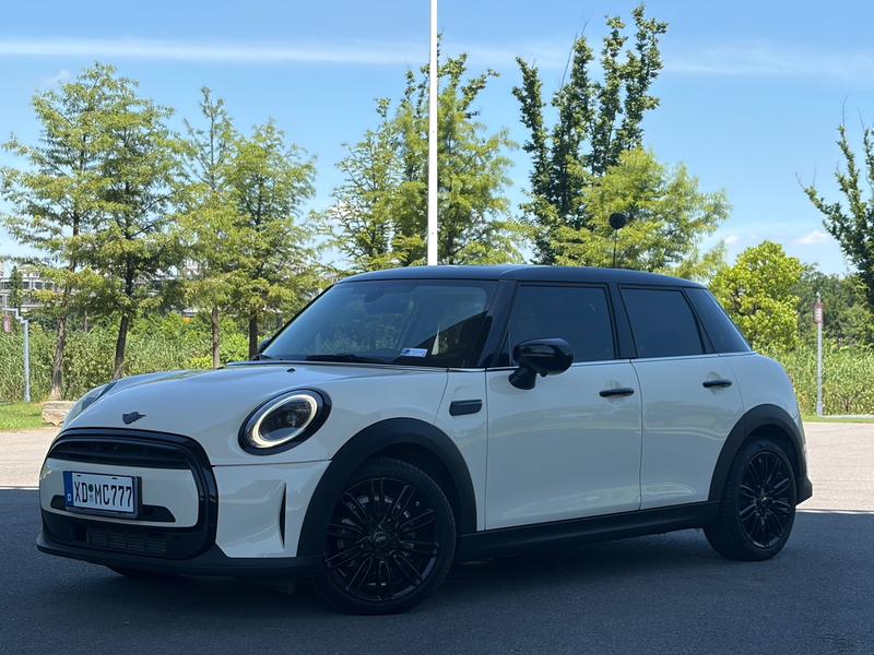 Mini Mini, 2022 — купить в Туле под ключ