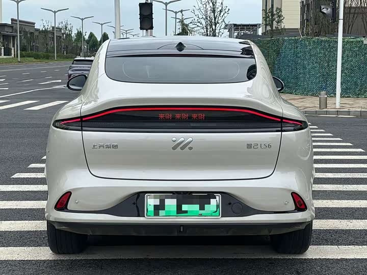 IM motors LS6, 2024 — фото 8 из 9