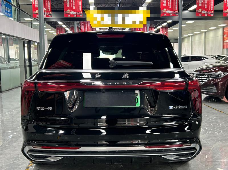 Hongqi E-HS9, 2023 — фото 5 из 12