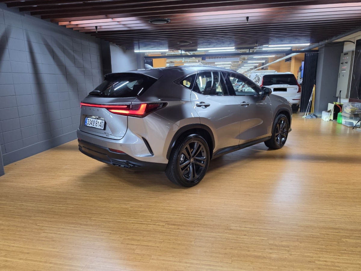 Lexus NX, 2025 — фото 2 из 12