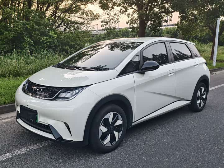 BYD Dolphin, 2025 — купить в Смоленске под ключ