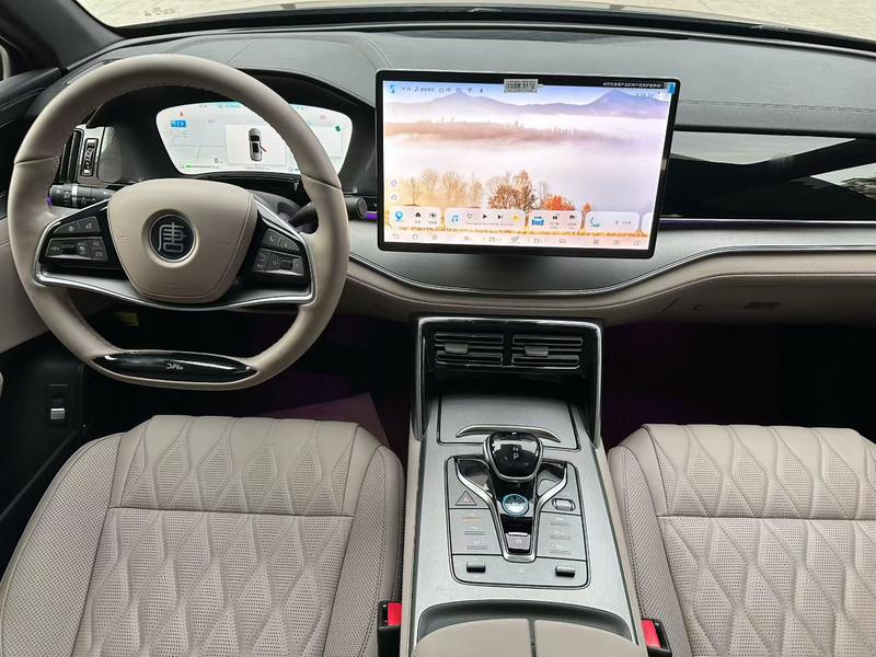 BYD Tang Hybrid/EV, 2024 — фото 7 из 10