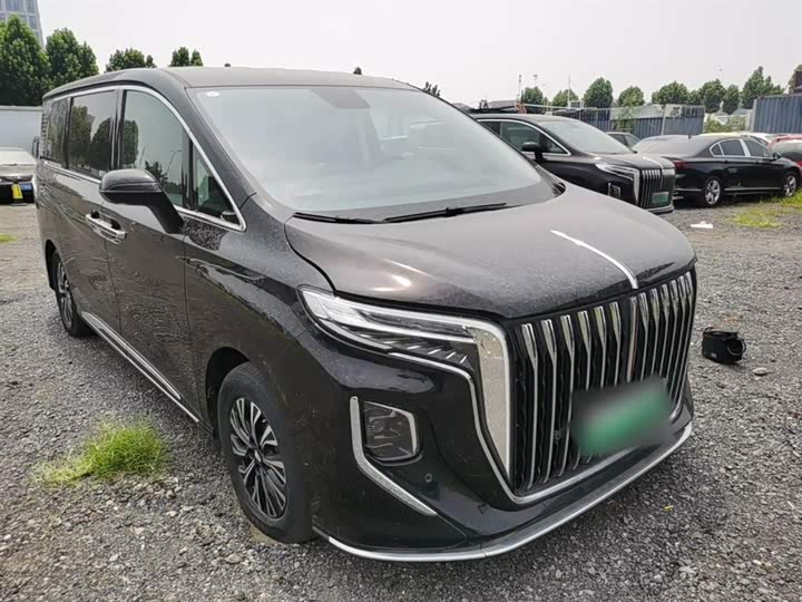 Hongqi HQ9 Hybrid, 2024 — фото 4 из 9