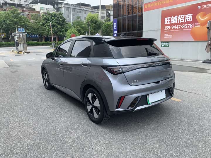 BYD Dolphin, 2024 — фото 6 из 9