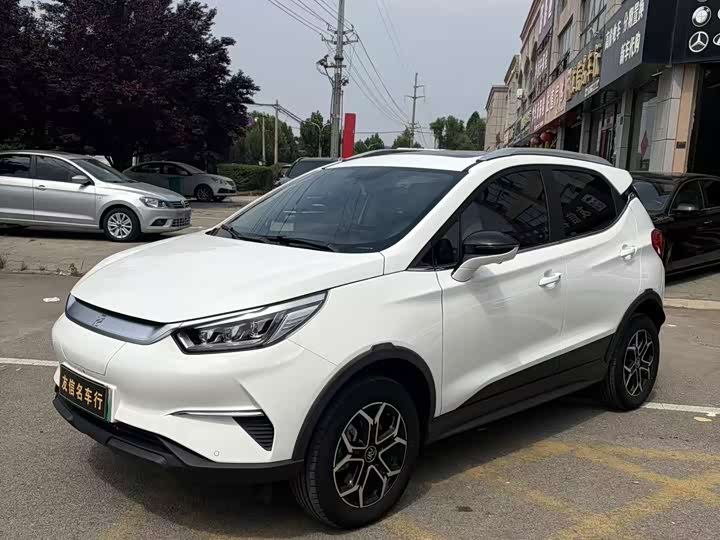 BYD Yuan Pro, 2021 — купить в Липецке под ключ