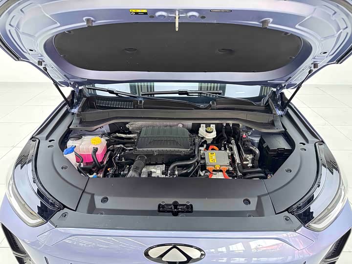 Chery Fulwin T9, 2024 — фото 7 из 9