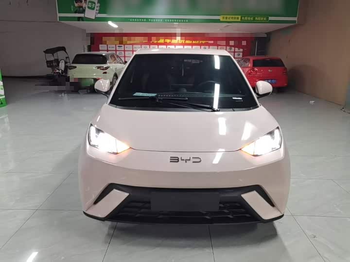 BYD Seagull, 2024 — фото 3 из 9