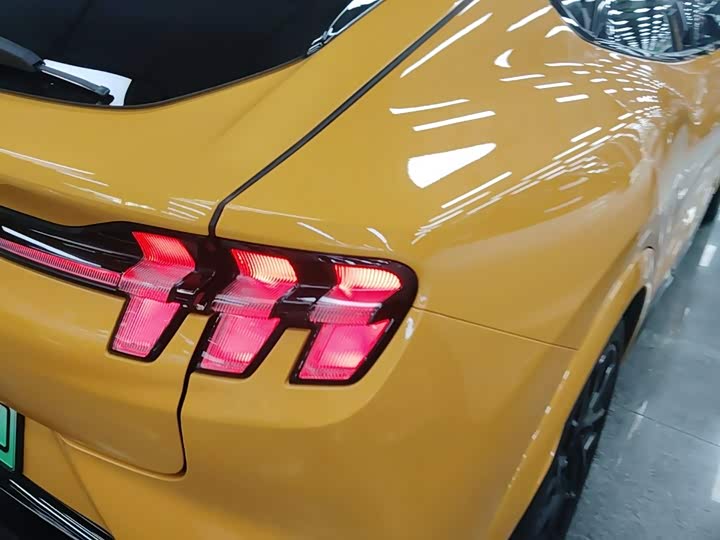 Ford Mustang Mach-E, 2023 — фото 8 из 9
