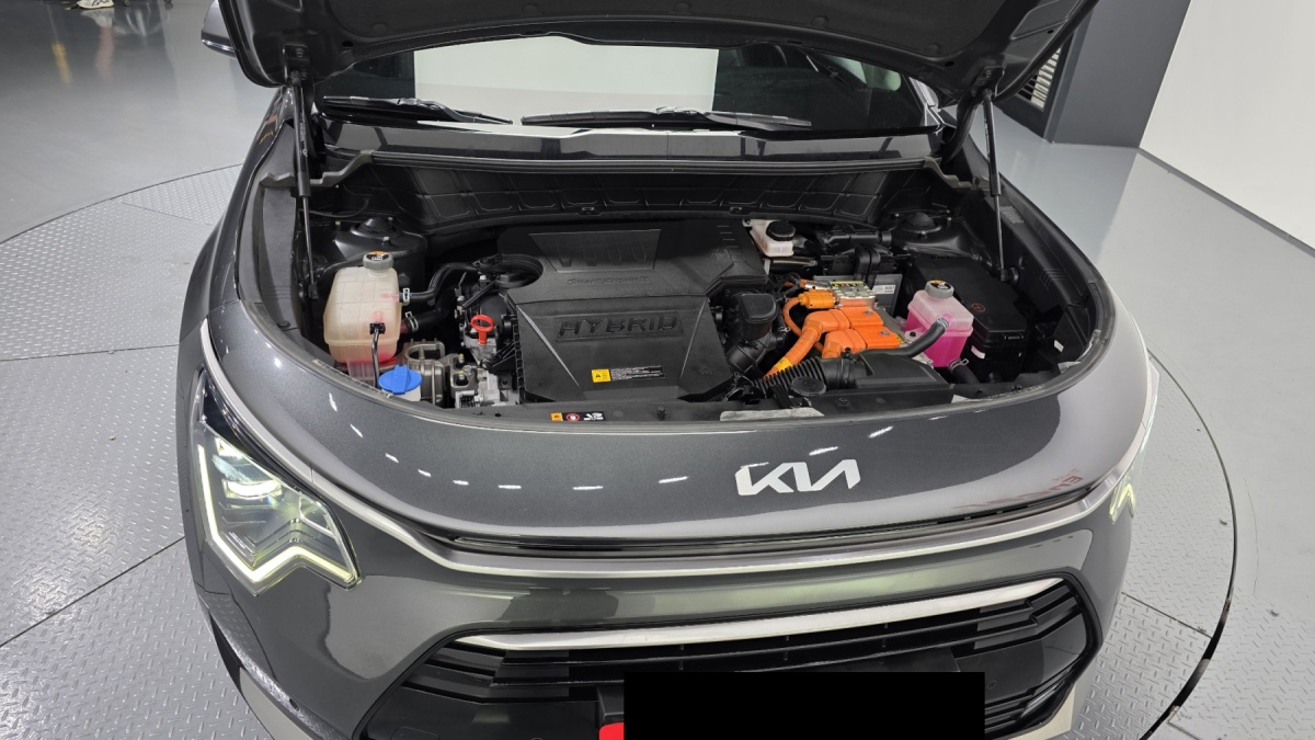 Kia Niro, 2022 — фото 6 из 12