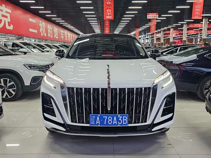Hongqi HS3, 2023 — фото 2 из 9