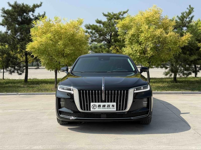 Hongqi H9, 2023 — фото 2 из 12