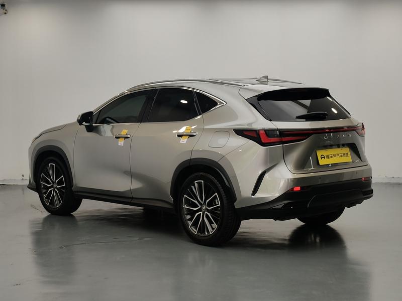 Lexus NX, 2021 — фото 5 из 12
