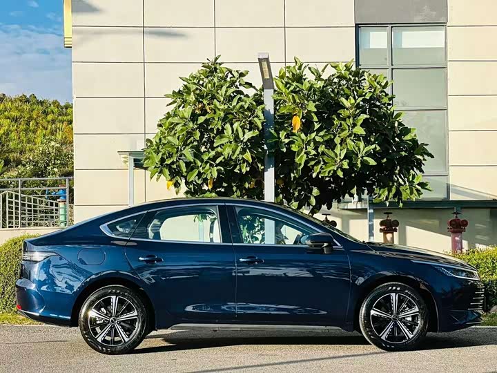 BYD Destroyer 05, 2024 — фото 7 из 9