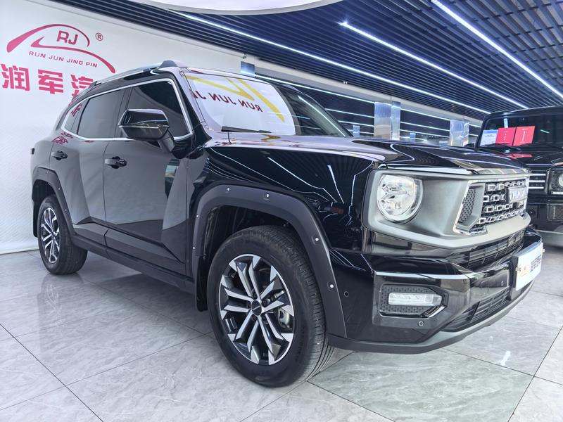 Haval H-Dog, 2023 — фото 3 из 12