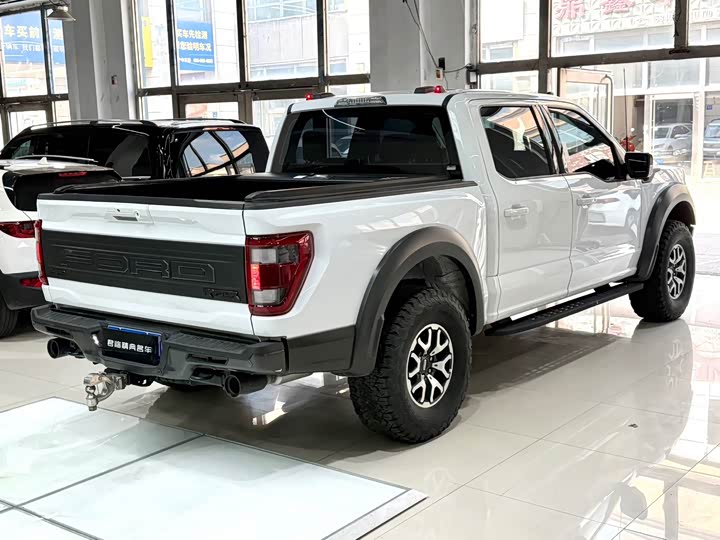 Ford F-150 Raptor, 2024 — фото 7 из 9