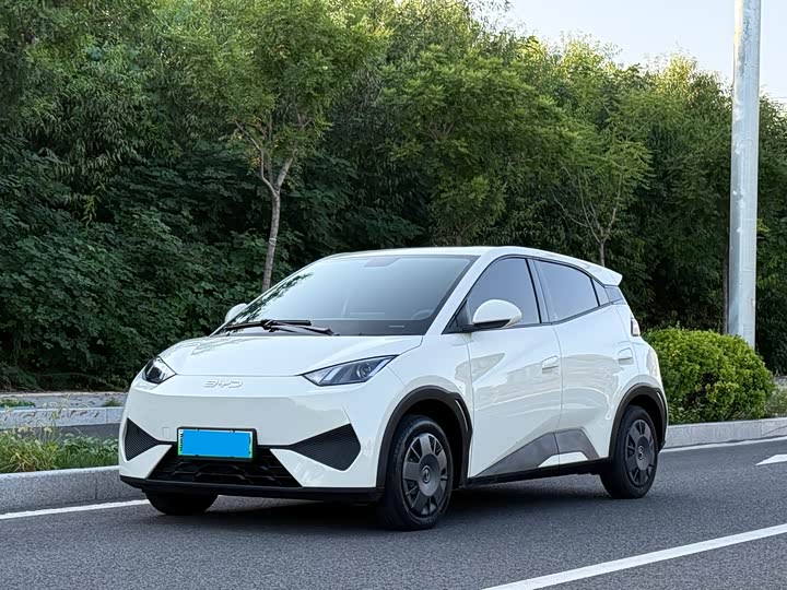 BYD Seagull, 2025 — купить в Курске под ключ