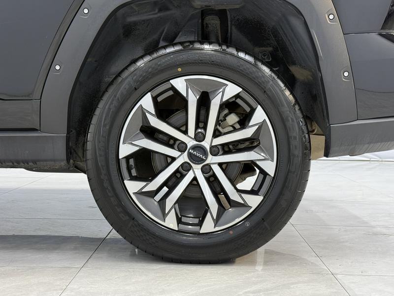 Haval H-Dog, 2023 — фото 11 из 12