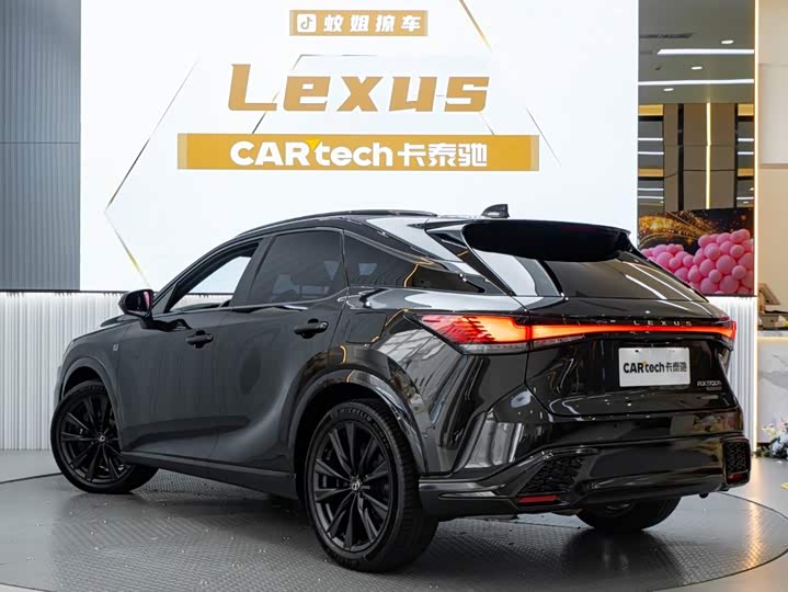 Lexus RX, 2022 — фото 6 из 9