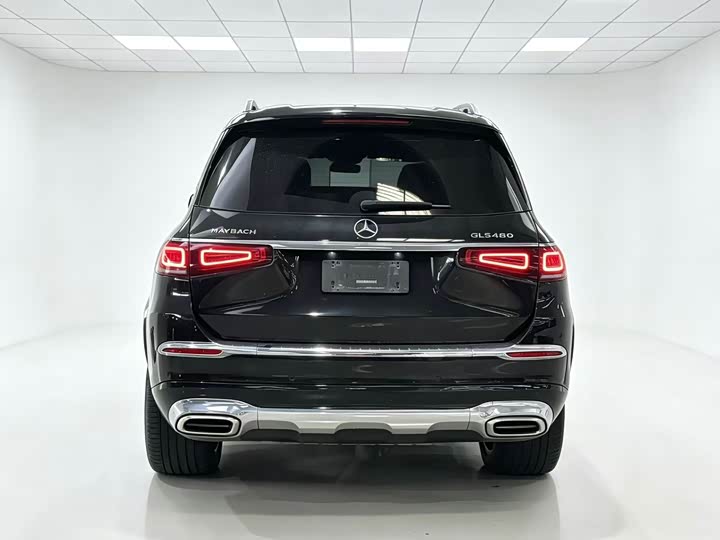 Mercedes-Benz Maybach GLS, 2022 — фото 6 из 9