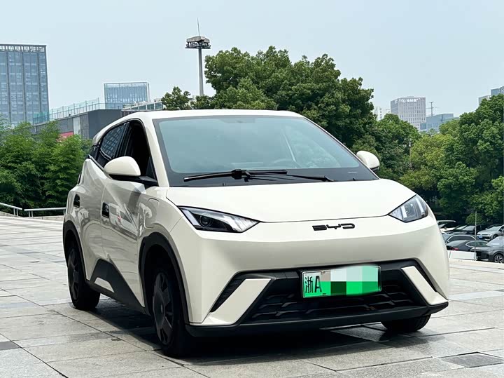 BYD Seagull, 2024 — фото 3 из 9