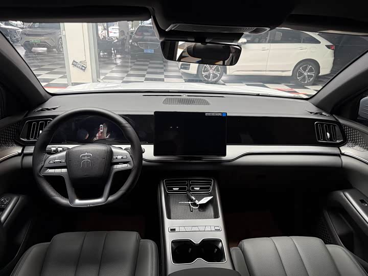 BYD Song Pro Hybrid, 2025 — фото 8 из 9