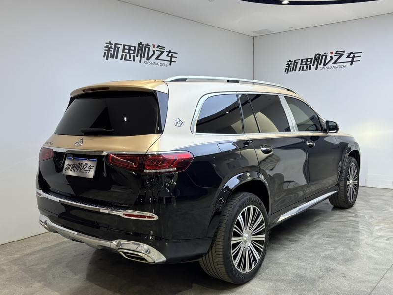 Mercedes-Benz Maybach GLS, 2022 — фото 7 из 12