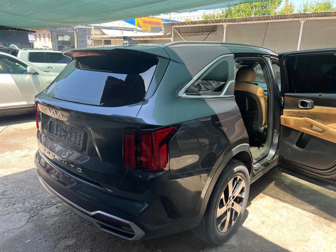 Kia Sorento, 2021 — фото 11 из 12