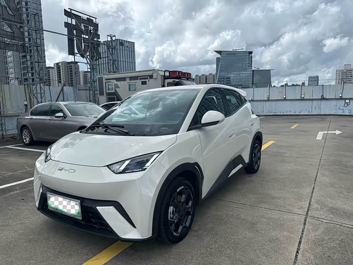 BYD Seagull, 2024 — купить в Смоленске под ключ