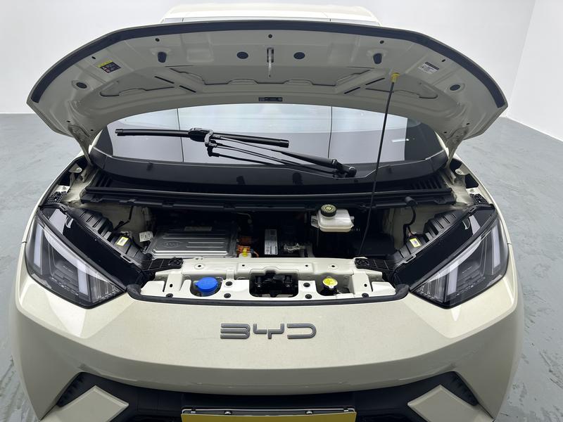 BYD Seagull, 2023 — фото 12 из 12