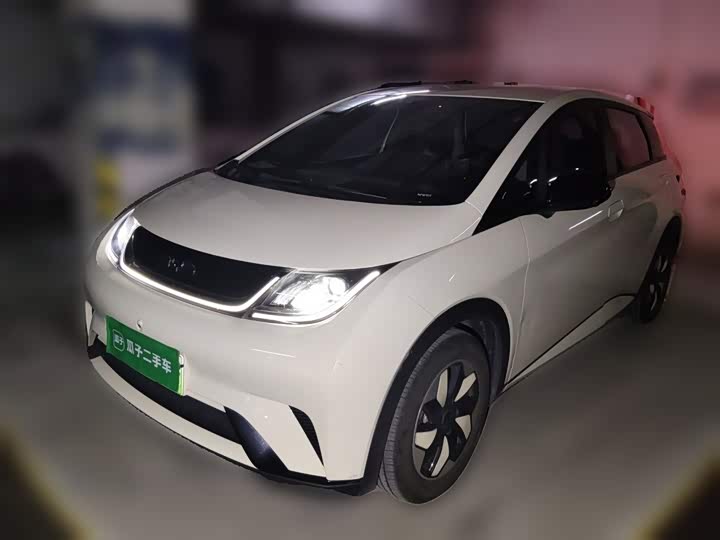 BYD Dolphin, 2024 — купить в Тамбове под ключ