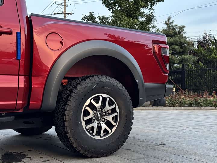 Ford F-150 Raptor, 2024 — фото 8 из 9