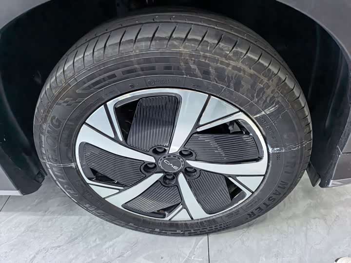 BYD Sea Lion 05 EV, 2025 — фото 5 из 9
