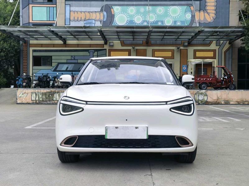 Dongfeng Yipai Nano 01, 2024 — фото 2 из 10