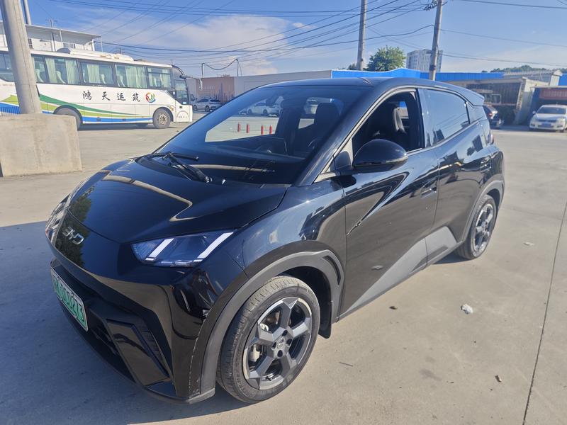 BYD Seagull, 2023 — купить в Белгороде под ключ
