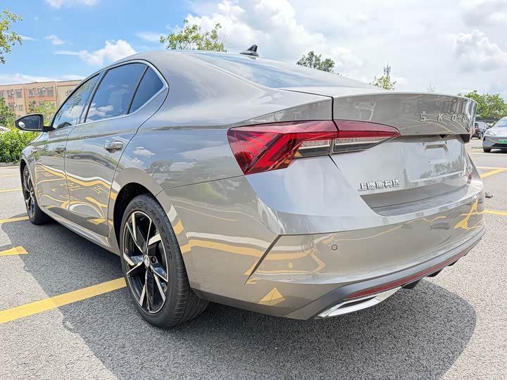 Skoda Octavia Pro, 2022 — фото 7 из 9