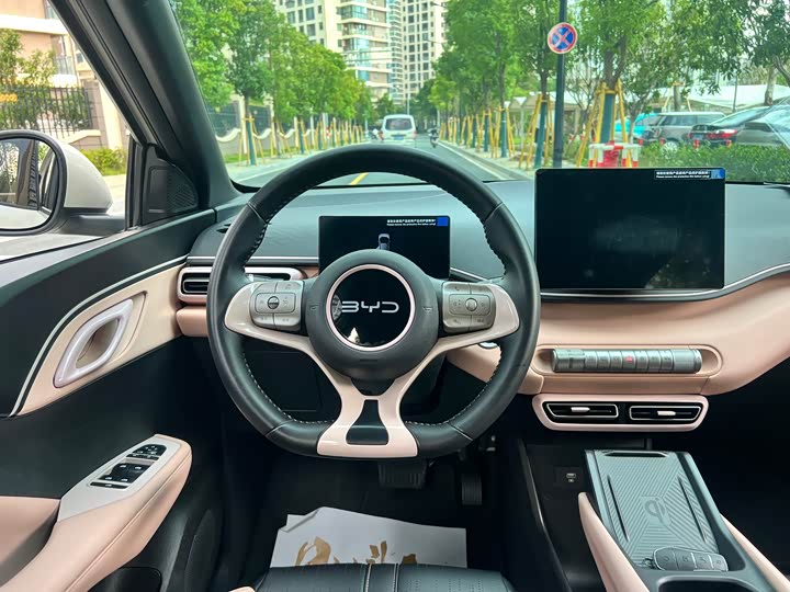 BYD Seagull, 2024 — фото 9 из 9