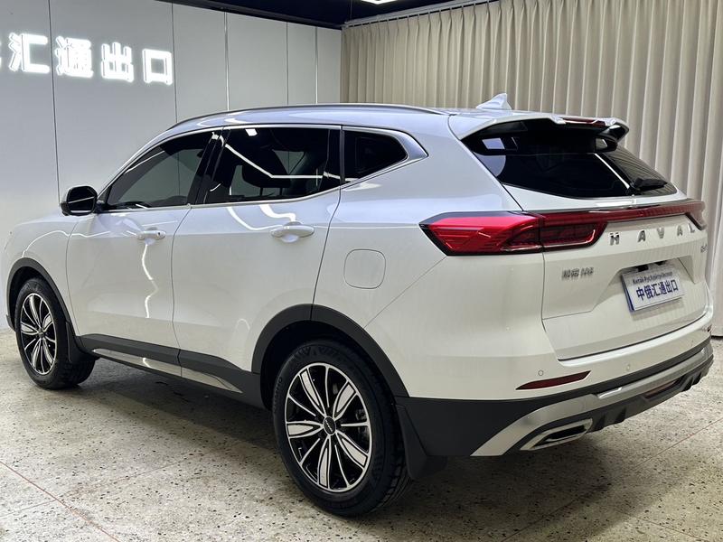 Haval H6, 2023 — фото 4 из 12