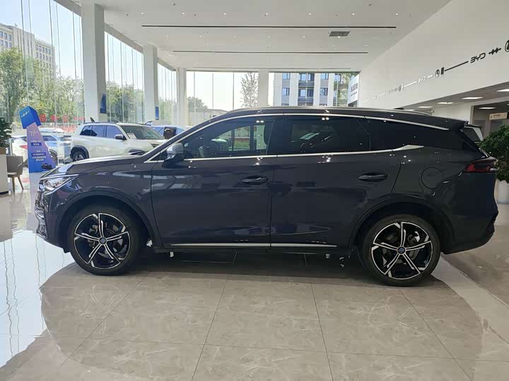 BYD Tang Hybrid/EV, 2021 — фото 8 из 9
