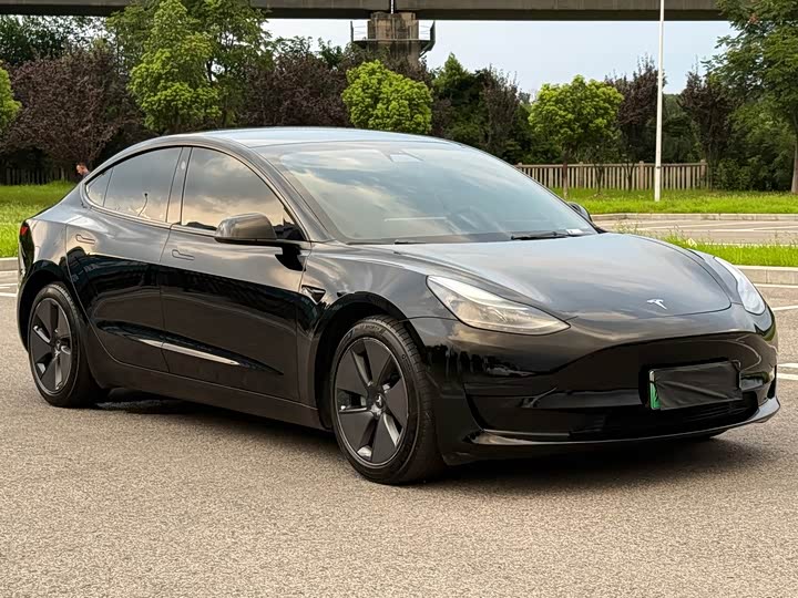 Tesla Model 3, 2021 — фото 3 из 9