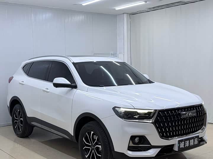 Haval H6, 2023 — фото 3 из 9