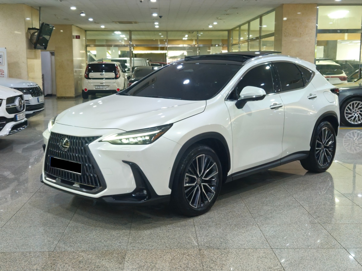 Lexus NX, 2023 — купить в Чебоксарах под ключ