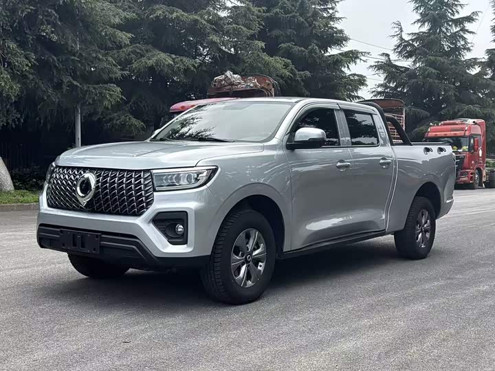 Great Wall Pao, 2023 — купить в Смоленске под ключ