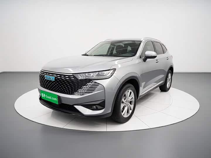 Haval H6 Hybrid, 2022 — фото 2 из 9