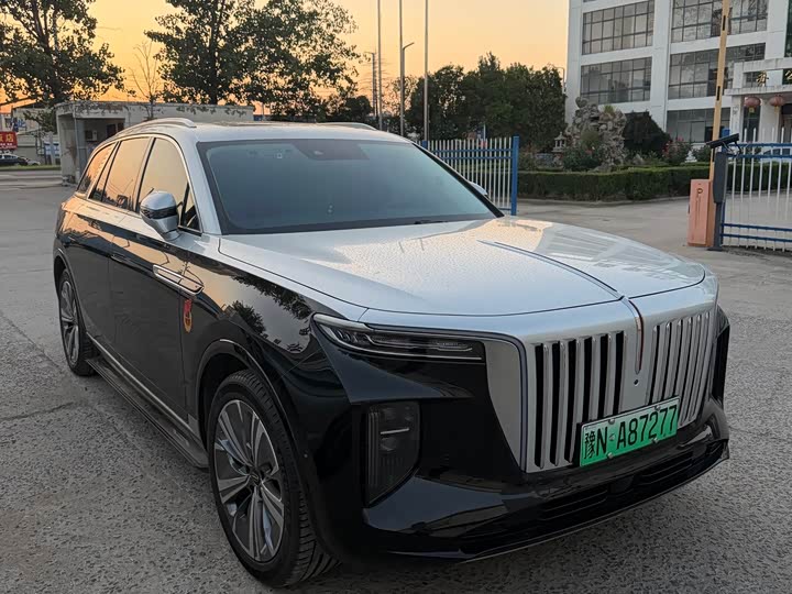 Hongqi E-HS9, 2023 — фото 3 из 7